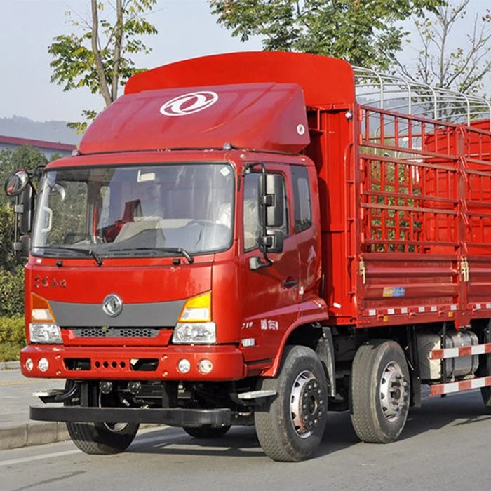 Dongfeng Jiayun 210HP 6X2 9.6M Trak Kargo Pancang